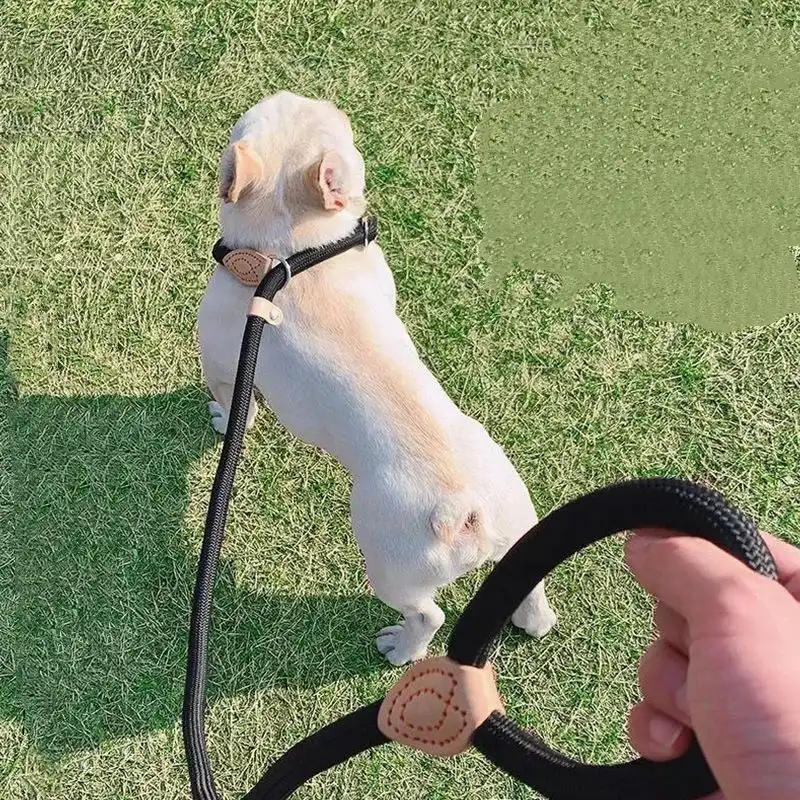 Adjustable Collar Harness Dog Leash Nylon Pet Lead Leash Dog Harness